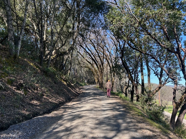 Photo of Gregory Kramer walking on a path at Yokayo Ranch where the first Insight Dialogue retreat was held.